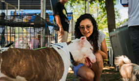 El Municipio de Guayaquil ejecuta una campaña de adopción de animales con beneficios gratuitos permanentes.
