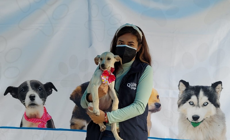 Jornadas masivas de adopción de animales llegan a la Feria del Libro en Quito