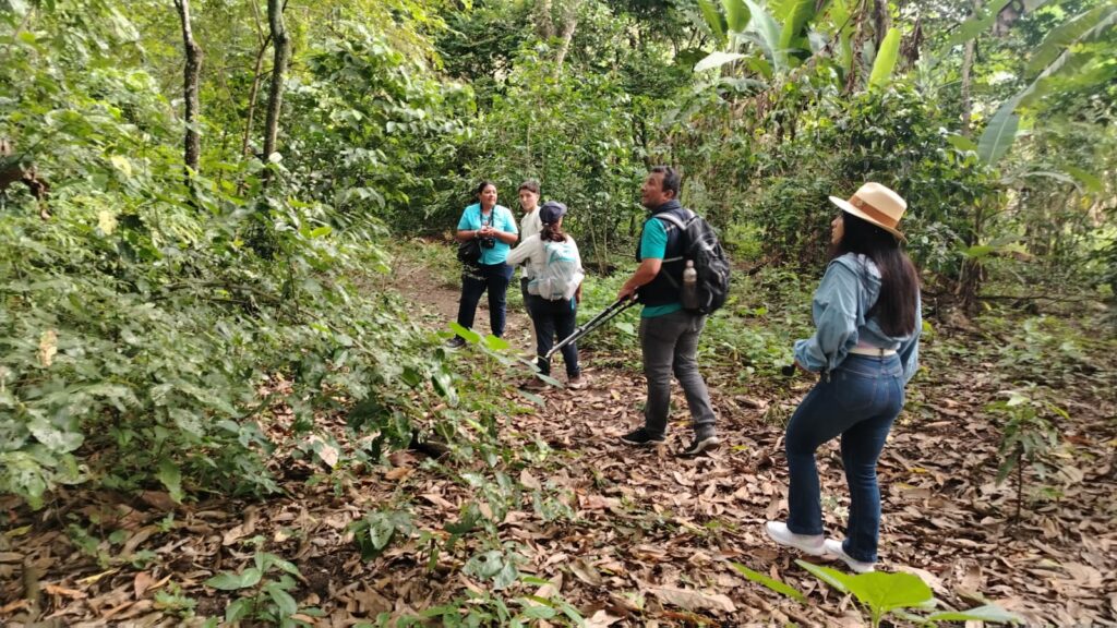 La reserva Cocoi, una nueva ruta de aviturismo se abre al mundo desde el cantón Bolívar, en la provincia de Manabí.