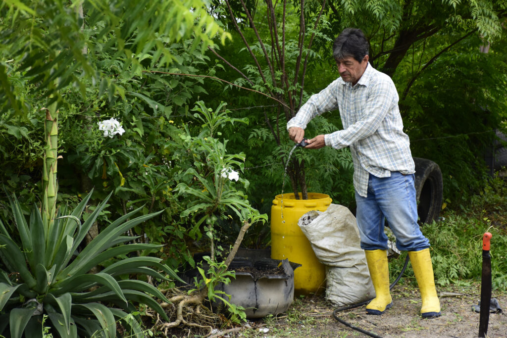 Día Mundial del Medio Ambiente: seis sectores de Portoviejo afectados por deforestación serán reforestados