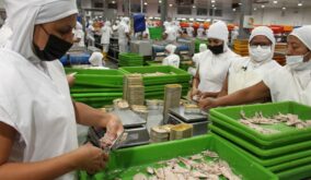La eliminación del subsidio al diésel afecta a la flota atunera. La industria en tierra apuesta por transformación para seguir siendo competitiva.