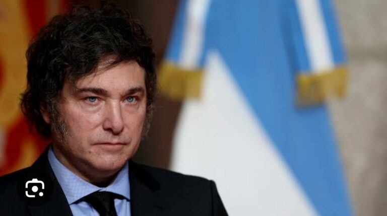 Presidente Milei Descarta Gracia a Fernández El que la hace la paga