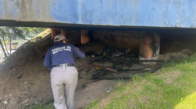 Quito autoridades recaban pruebas tras grave caso de maltrato animal en Carcelén