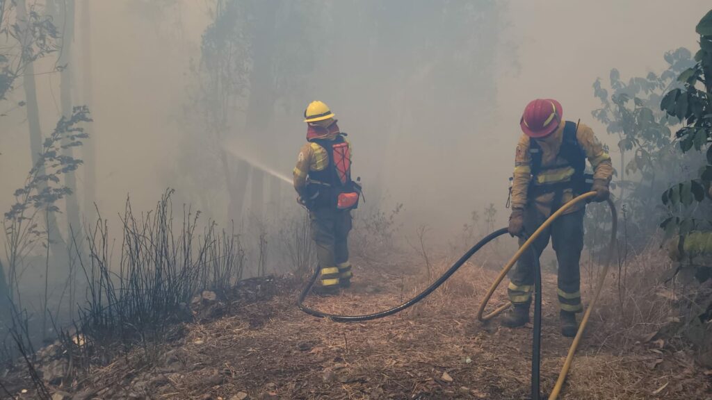 Quito fortalece su preparación contra incendios forestales en 2025