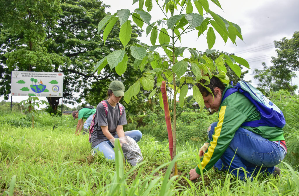 Portoviejo conmemora el Mes del Medio Ambiente con actividades desde el 5 de junio