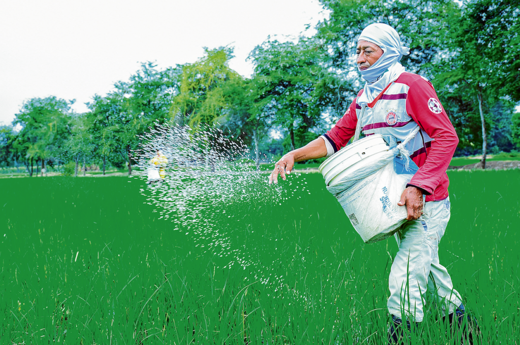 TIERRA FÉRTIL Y PRODUCCIÓN CON FUTURO