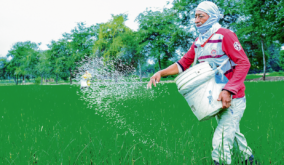 TIERRA FÉRTIL Y PRODUCCIÓN CON FUTURO