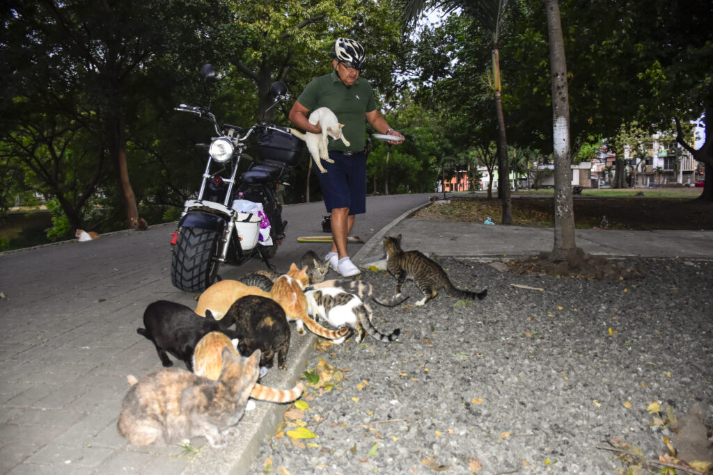 Egddin García: el héroe que recorre Portoviejo en moto eléctrica para alimentar gatos callejeros