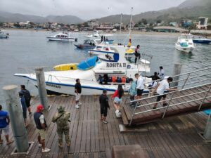 ¡Ballenas en Puerto López! Miles llegan al festival más esperado de 2025