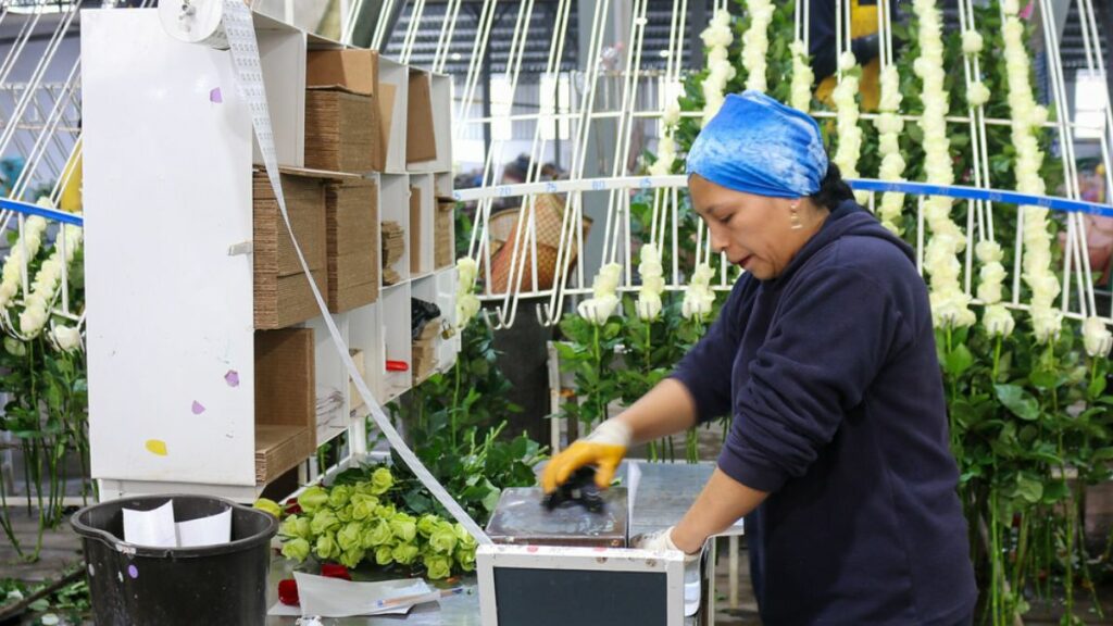 ¿Sabías que si trabajas de 19h00 a 06h00 tu empleador debe pagarte un 25 % de recargo por hora trabajada? (Ministerio de Producción).