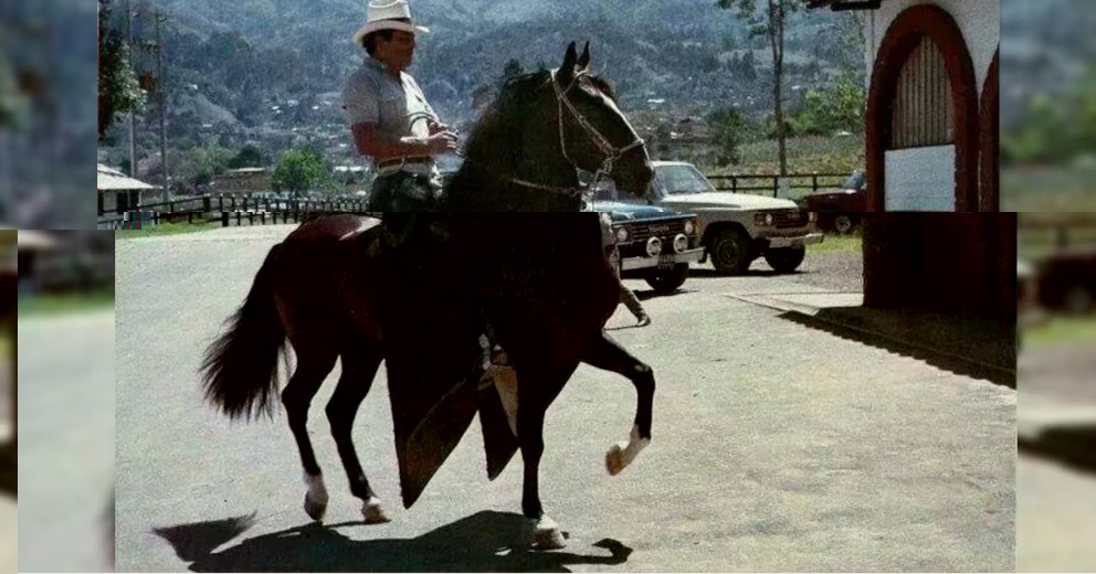 Tal fue el amor que Gonzalo Rodríguez Gacha, alias "El Mexicano", sentía por su caballo, que mandó construirle un establo de más de 25 metros cuadrados, equipado con todas las comodidades.