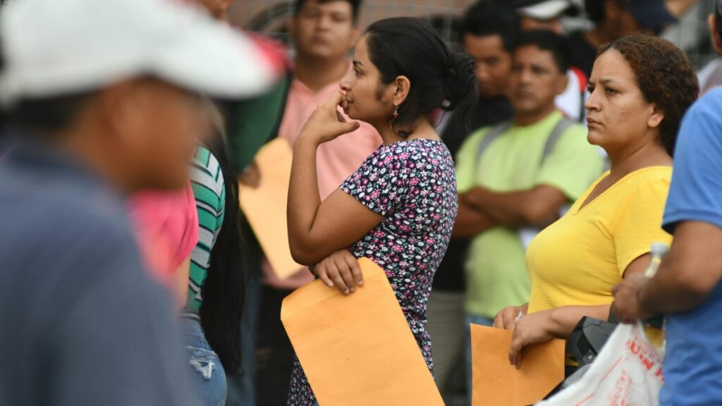 El desempleo en Ecuador en 2025: El INEC comparte cifras y análisis por sexo, ciudad y ruralidad . (API).