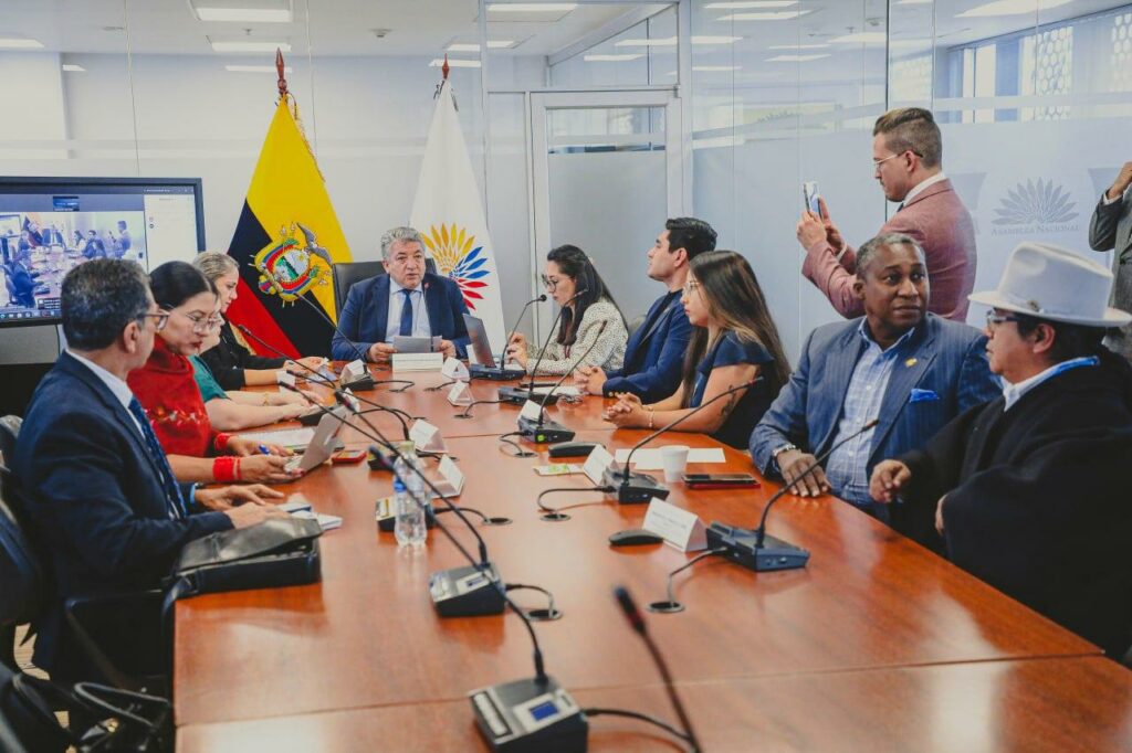 El futuro del trabajo doméstico en Ecuador: ¿Qué decidió la Comisión de Derecho al Trabajo ?