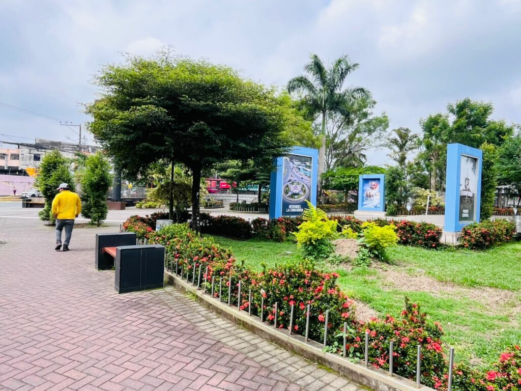 El sector del Parque Central de La Concordia está plagado de ratas; se ha optado por ubicar trampas
