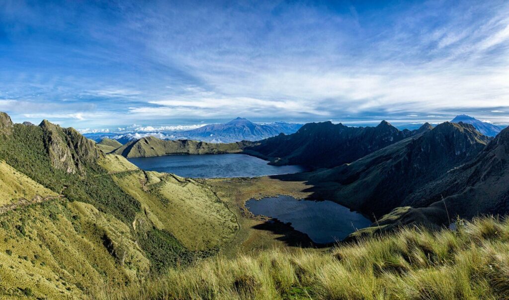 Fundación Cóndor Andino critica Ley por Riesgos a la Biodiversidad
