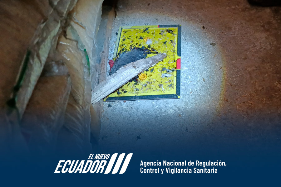 La Arcsa clausura una envasadora de alimentos en Cuenca por supuesta insalubridad y presencia de plagas