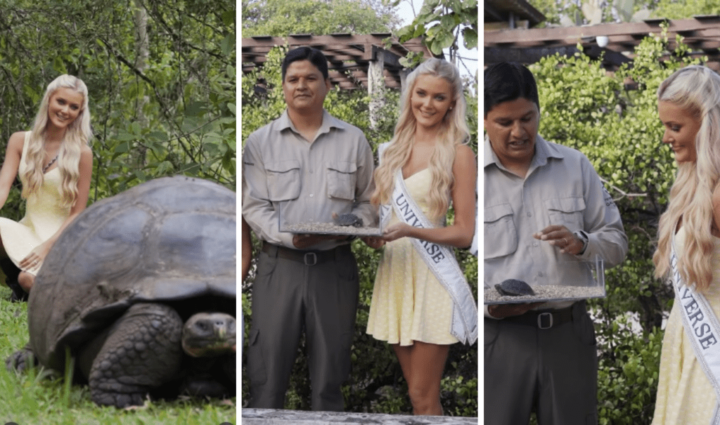 La Miss Universo 2024 apadrinó a una tortuga de Galápagos; la llamó Esperanza