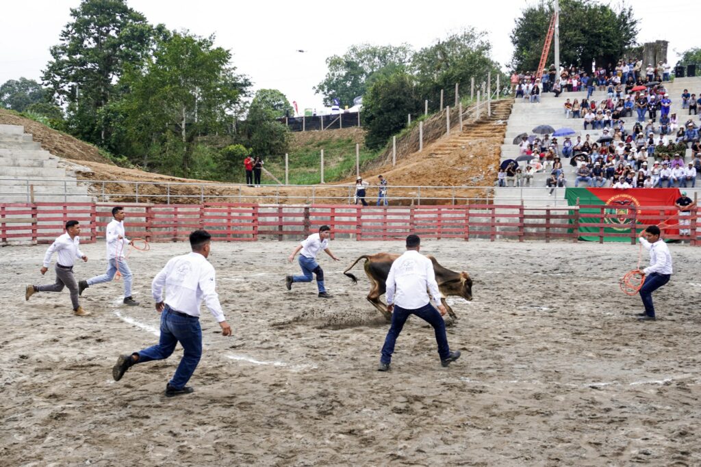 La feria ganadera Expogan Ecuador 2025 impulsó el sector pecuario nacional desde su nueva sede