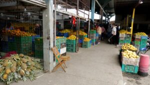 Naranjas, toronjas y mandarinas los cítricos que inundan los mercados de Manabí