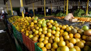 Naranjas, toronjas y mandarinas los cítricos que inundan los mercados de Manabí