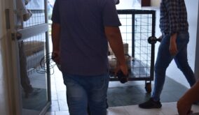 Operativo Stark en Santo Domingo Dos aprehendidos por introducir artículos prohibidos a la cárcel Bellavista