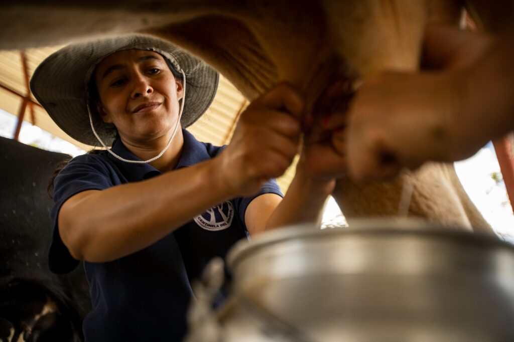 Productores respaldan reforma legal para fijar precio justo de la leche