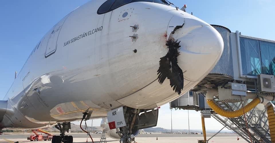 Una fotografía de 2021 muestra el impacto de un ave en un avión.