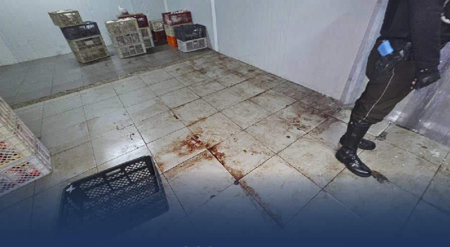 ¡Alerta Sanitaria! Clausuran catering en Guayaquil por condiciones repugnantes