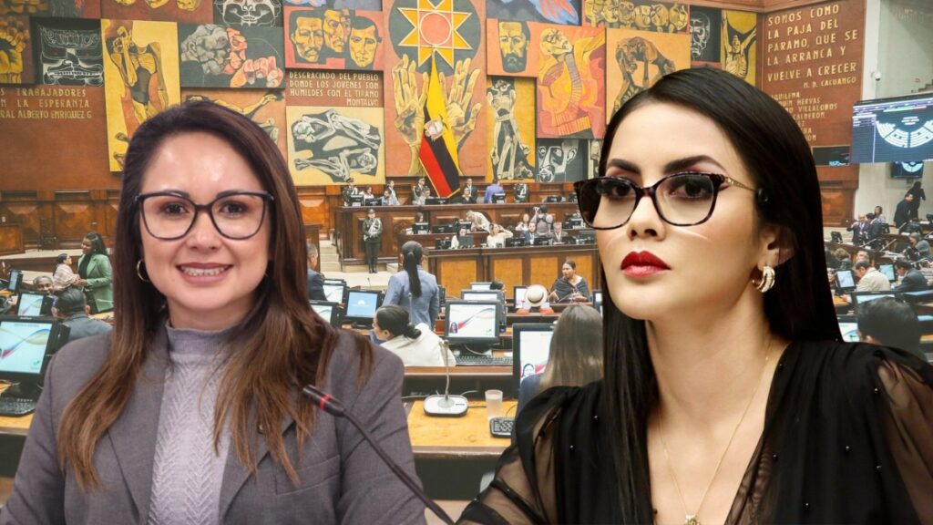 ¿Qué pasó entre Viviana Veloz y Nataly Morillo en el pleno de la Asamblea Nacional (AN).