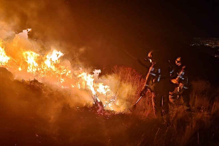 Bolivia enfrenta crisis por fuegos forestales con emergencia nacional