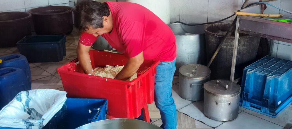 El queso chonero es más que un alimento, es historia, identidad y una expresión viva de la cultura cantonal.