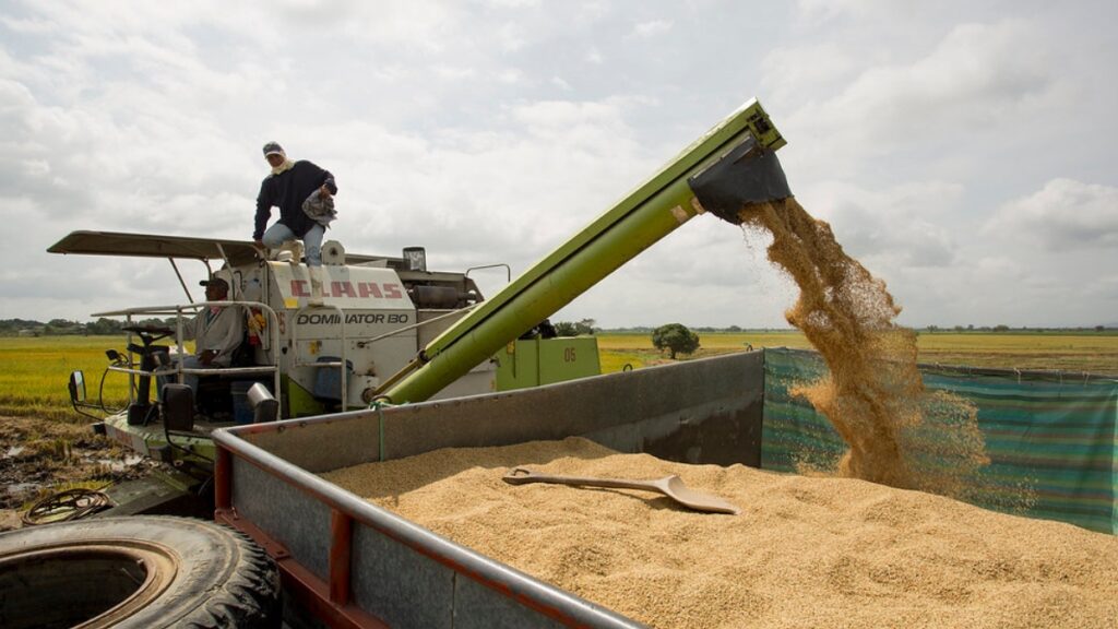 En estos sectores productivos se concentra la población económicamente activa en Ecuador. (Ministerio de Agricultura)