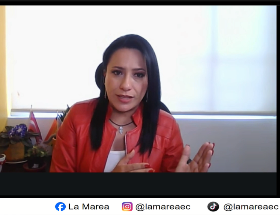Gabriela Alvear alerta que la Ley de Transparencia Social pone en riesgo la cooperación internacional.