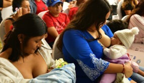 En Guayaquil, más de 300 mujeres participaron en una jornada por la Semana Mundial de la Lactancia, con charlas y actividades de apoyo.