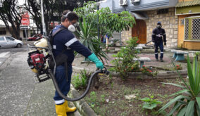 En julio, el Municipio de Guayaquil intensificó su plan contra plagas con miles de fumigaciones y desratizaciones.