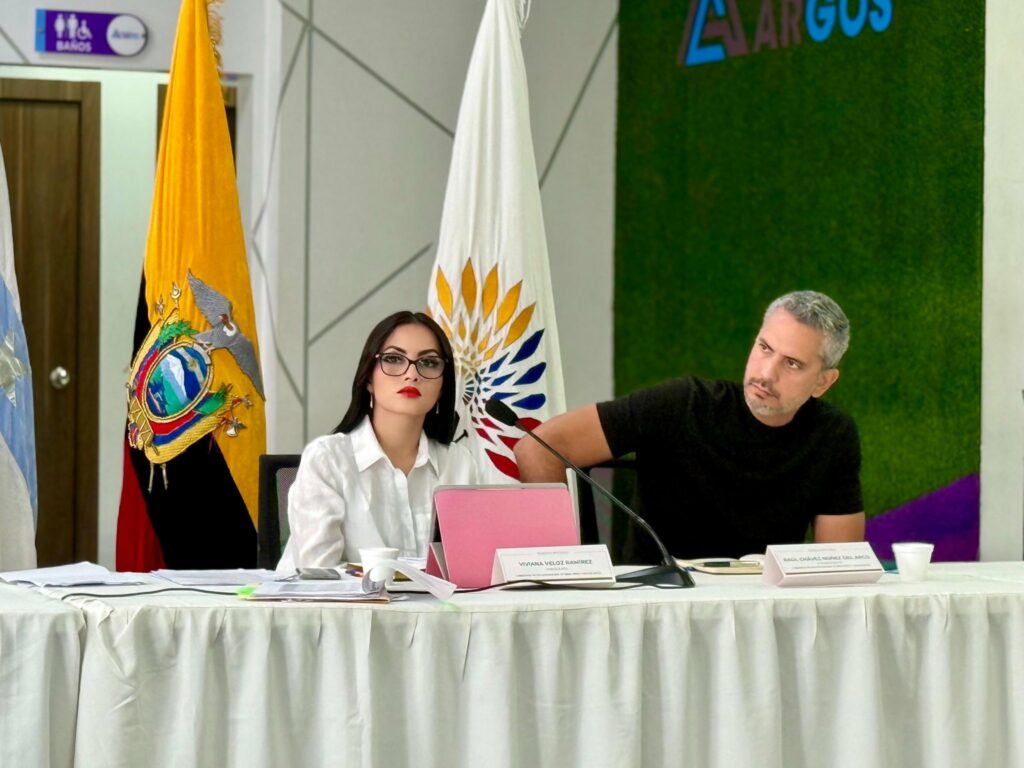La asambleísta de la Revolución Ciudadana (RC) y presidenta de la Comisión de Protección a Niños, Niñas y Adolescentes, Viviana Veloz. FOTO: @AsambleaEcuador.