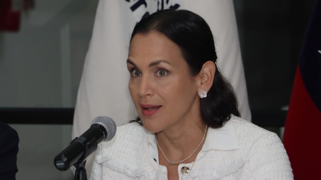 Inés Manzano, ministra de Energía y Minas, asegura que el servicio de electricidad está garantizado en Ecuador. (X).