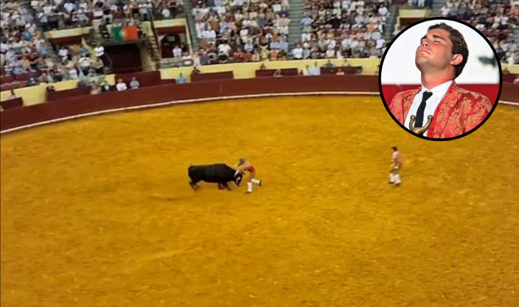 Joven torero muere tras ser embestido por un toro de 700 kilos en su debut