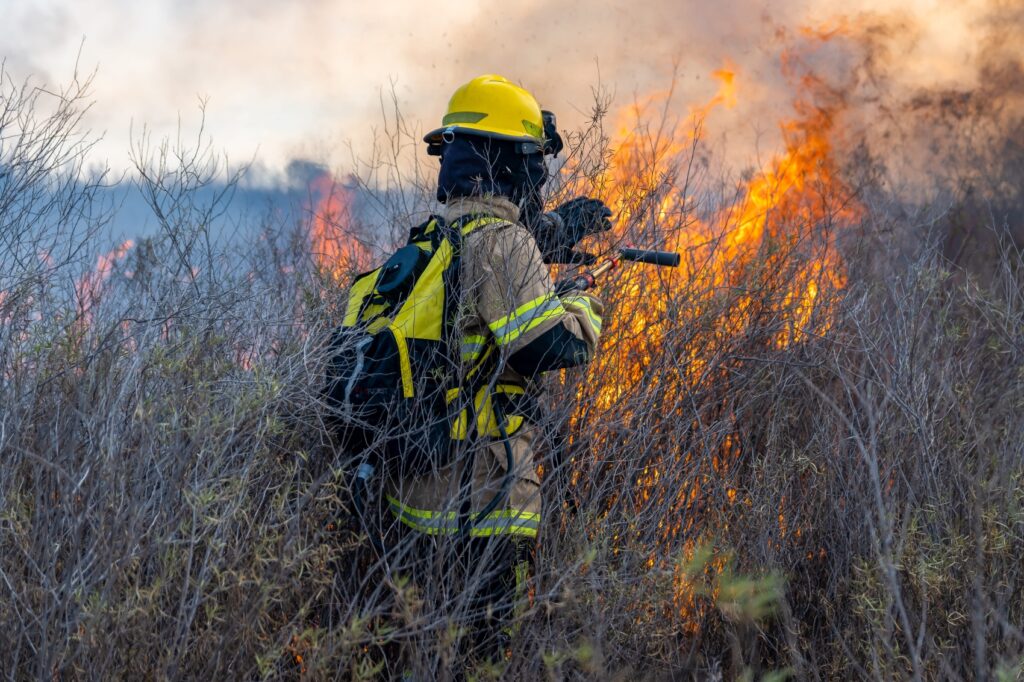 La deforestación y los incendios representan entre el 12 % y el 20 % de las emisiones mundiales de CO₂.