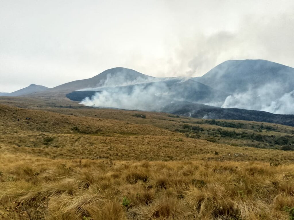 Pronóstico del Inamhi: Temperaturas mínimas descenderán en zonas altas de los Andes y la Amazonía