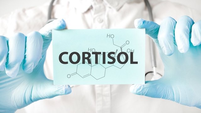 ¿Qué es el cortisol y cuál es su función en el cuerpo humano?