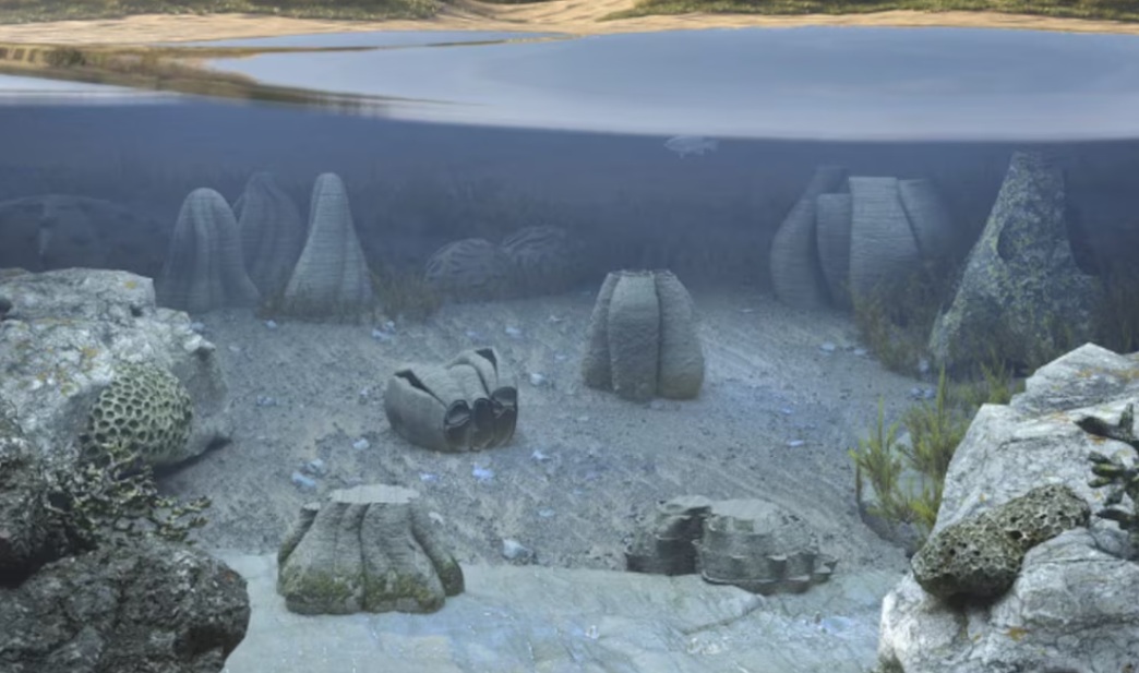 Hallazgo de ecosistemas fósiles en Illinois Estados Unidos revela antiguo mundo tropical