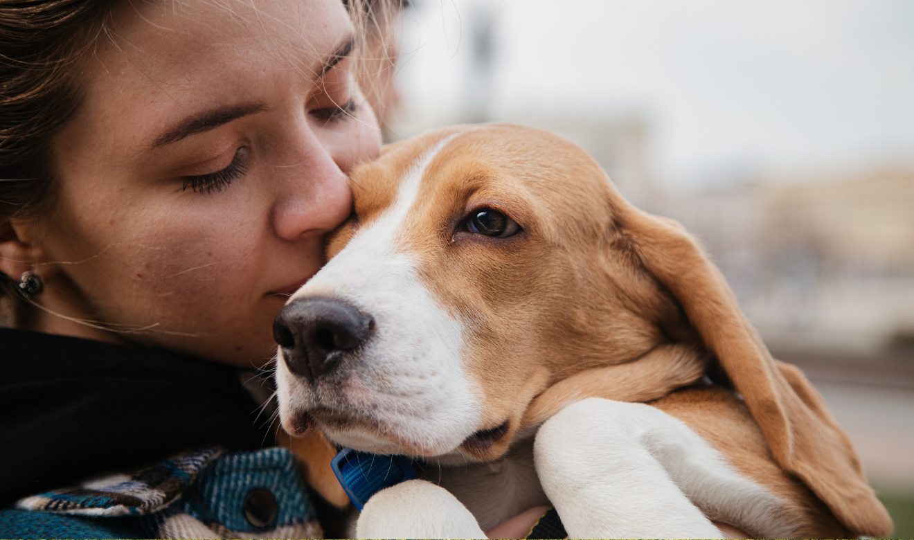 ¿Quieres una mascota?: Descubre las razas de perro que no son para “principiantes”