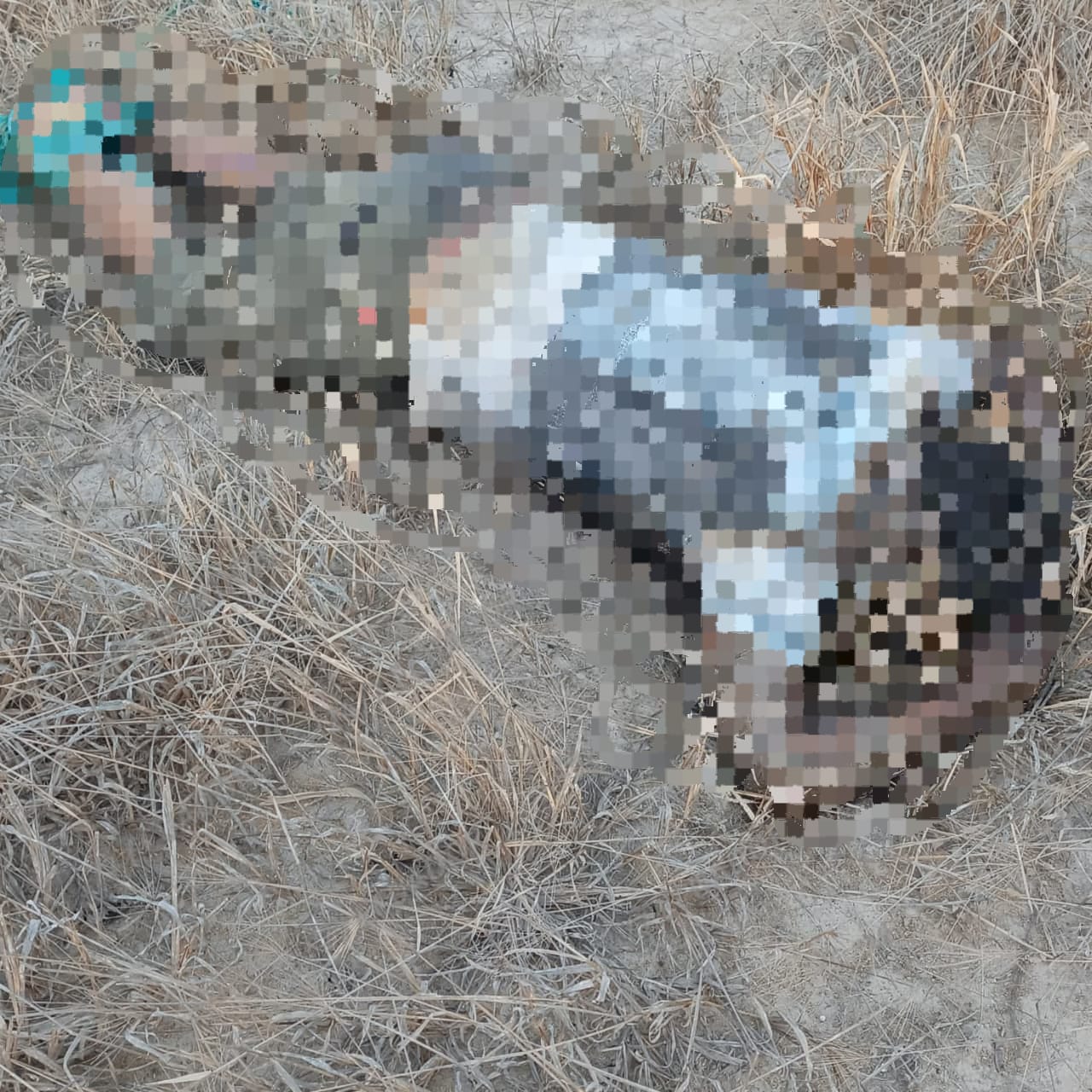 Serie de cuerpos encontrados en Cerro La Chispa y Refinería del Pacífico.