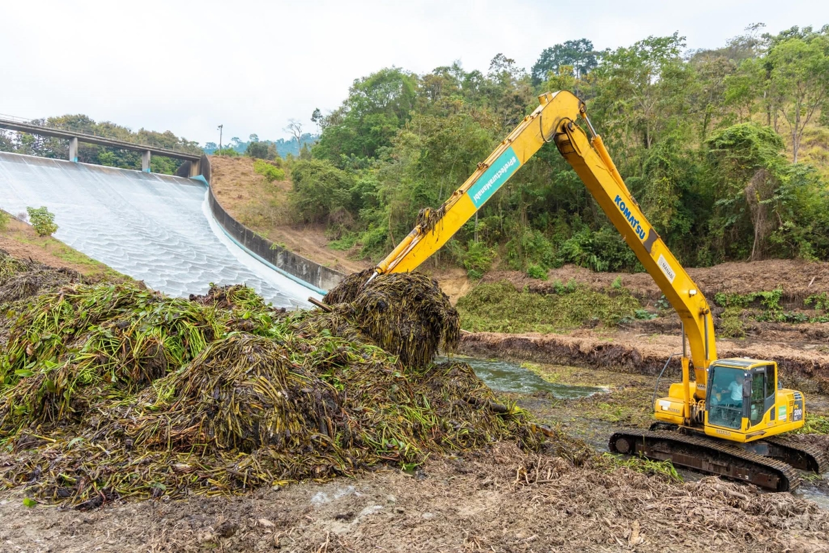 Actualment, están retirando los jacintos de agua del cuenco amortiguador mediante dos retroexcavadoras de brazo largo.