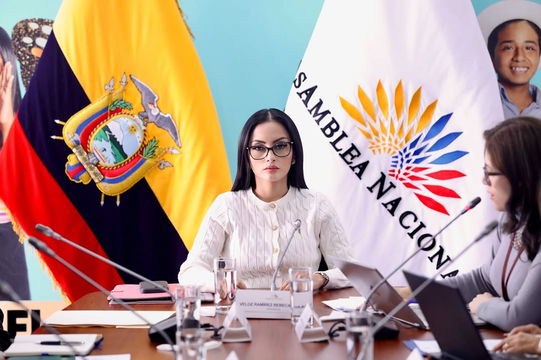 Asambleísta Viviana Veloz exige al ministro de Defensa esclarecer muerte de comunero en paro nacional.