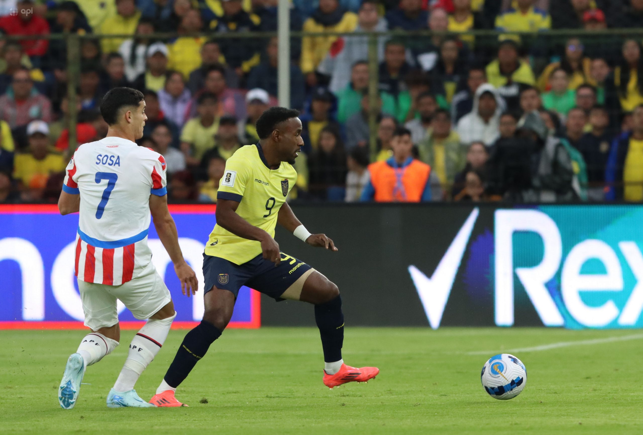 Así alinearían Paraguay y Ecuador para el partido de este jueves por Eliminatorias Sudamericanas
