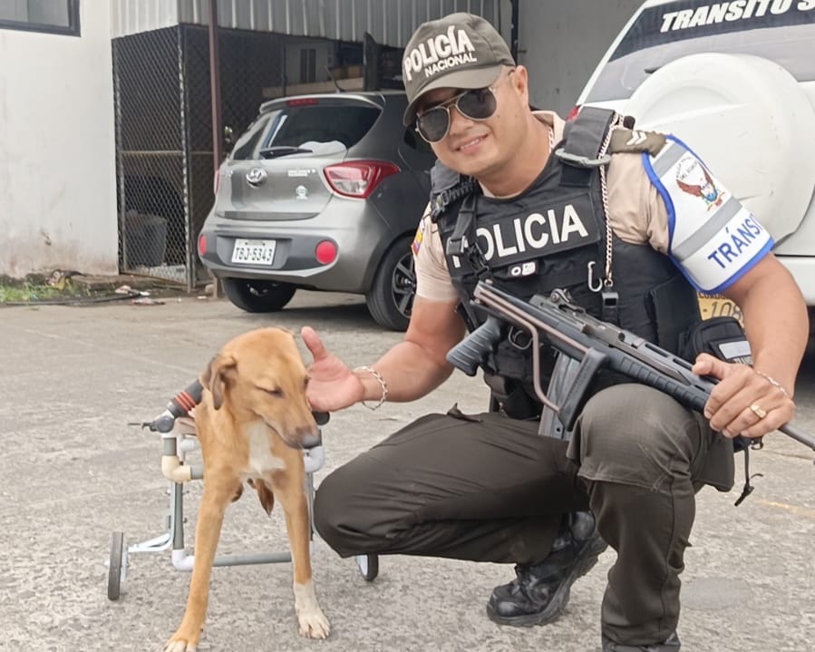 Con materiales reciclados y la ayuda de sus compañeros, Vélez diseñó un dispositivo que permitió al perrito volver a caminar.