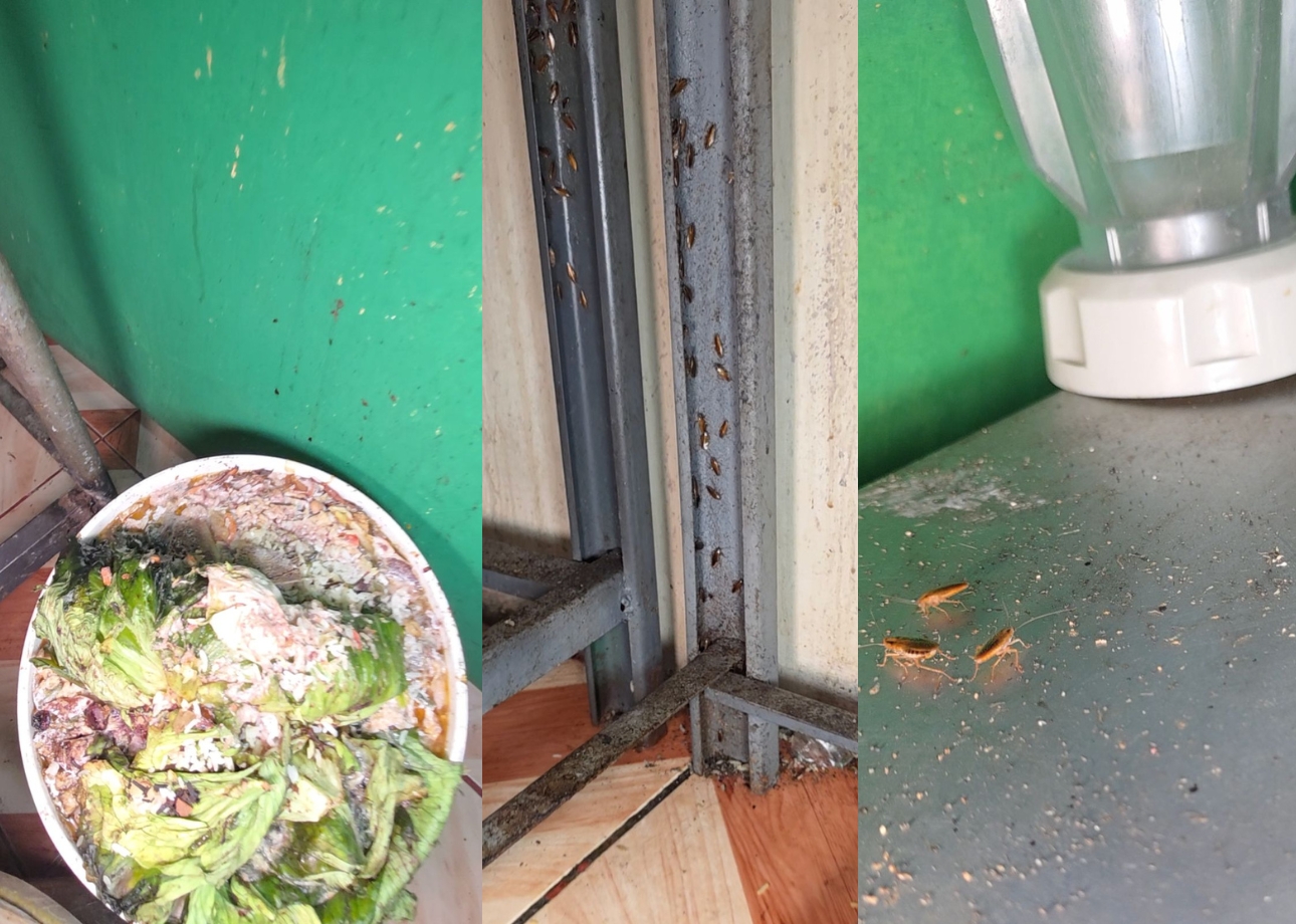 Durán: Arcsa detecta cucarachas en restaurante y ordena clausura temporal
