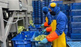 El empleo en Ecuador muestra leves signos de mejora en agosto, pero persisten algunos retos para los trabajadores. (Ministerio de Producción)